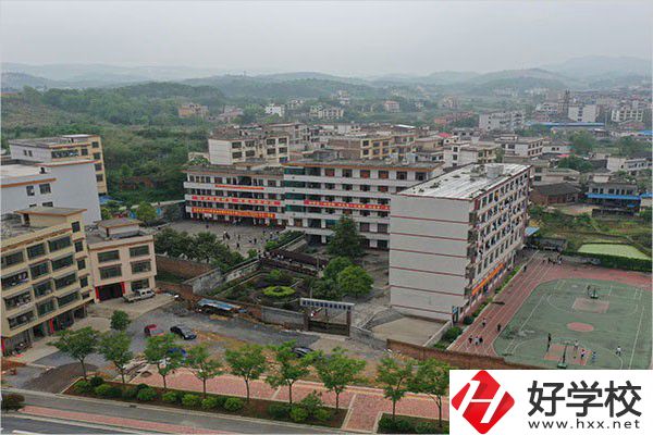武岡市環球職業技術學校全景