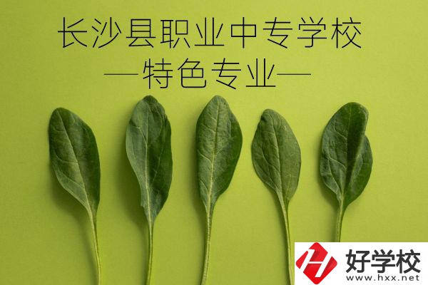 長沙縣職業中專學校怎么樣？有什么特色專業？