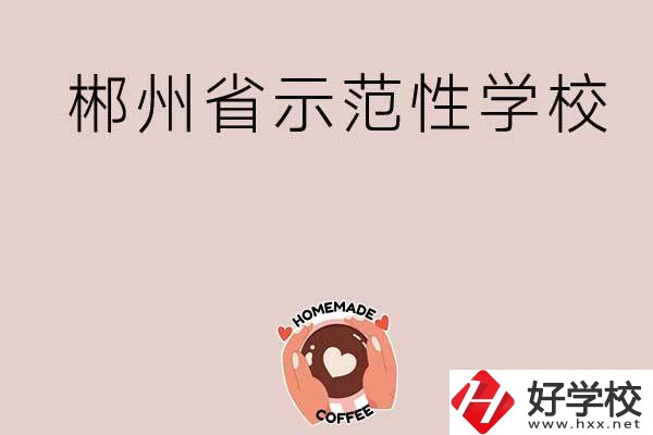 郴州有省示范性的公辦中職學校嗎？