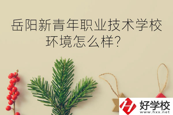 岳陽新青年職業技術學校好不好？環境怎么樣？