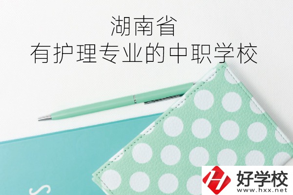 湖南省內有護理專業的中職學校有哪些？