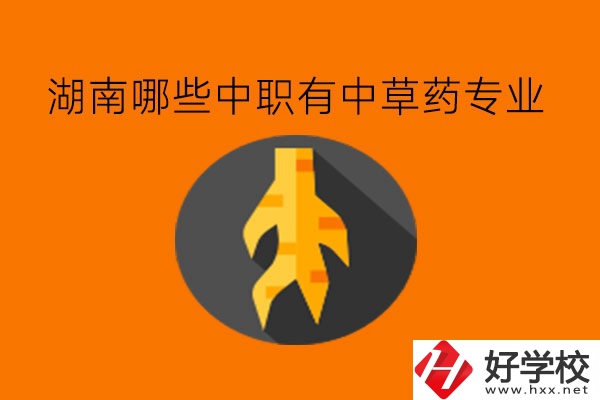 湖南哪些中職有中草藥專業?一文詳解!