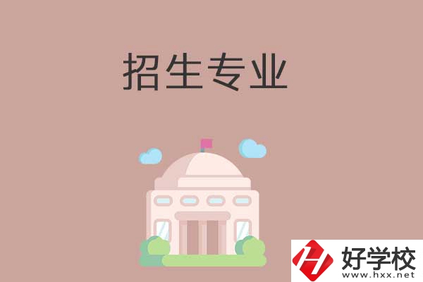 益陽有哪些高職院校設立了中職部？招生專業有哪些？
