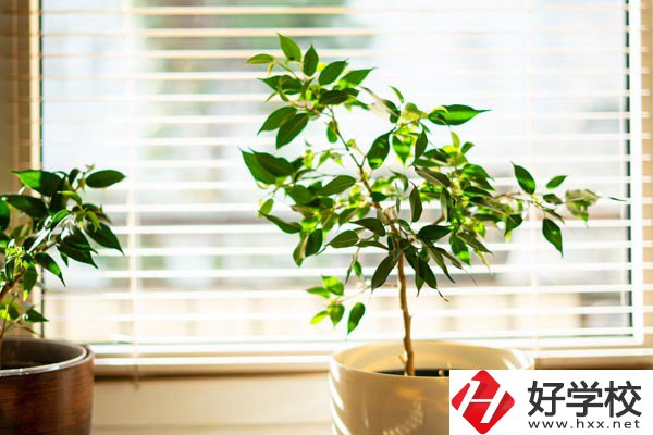 湖南省商業技師學院有哪些教學特色？報考有何要求？