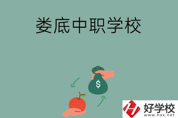 婁底市有哪些中職學校？排名前五的是哪幾所？
