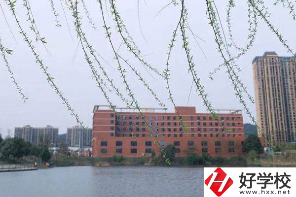 湖南省工業技師學院有幾個系?實訓條件怎么樣?