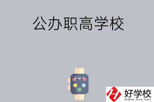 長沙哪些公辦職高學校比較有特色？