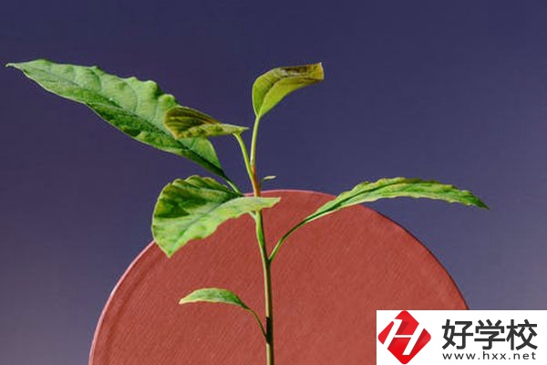 株洲市工業中等專校怎么樣？好不好？