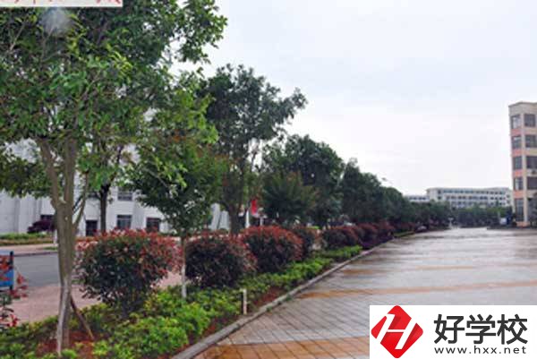 長沙市電子工業學校開設了哪些專業，附招生要求？
