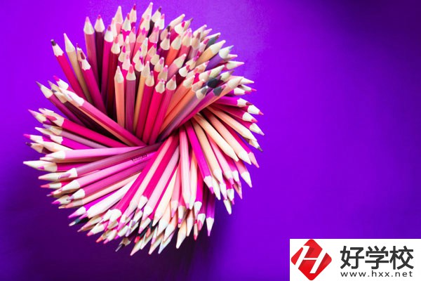 在懷化有什么職?？梢詫W習幼師？好不好？