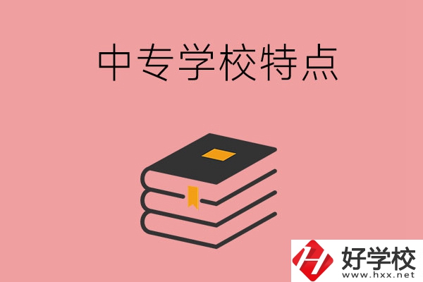 湖南省正規的中專學校，具備哪些特點？