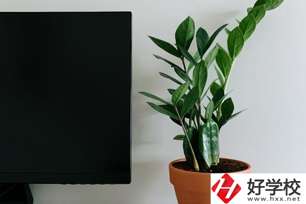 岳陽市網絡工程職業技術學校有哪些熱門專業？
