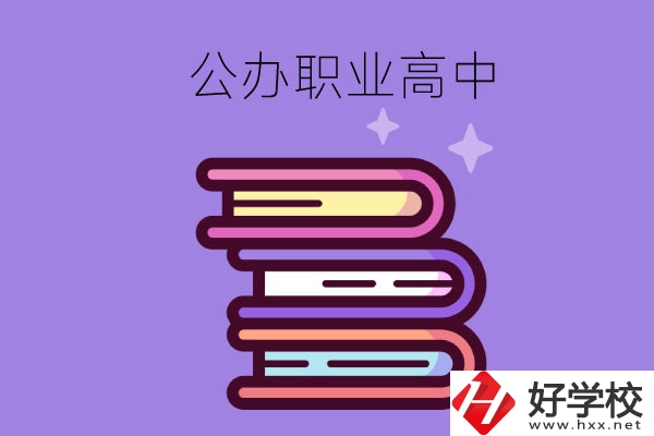 長沙市有哪些公辦職業高中學校？