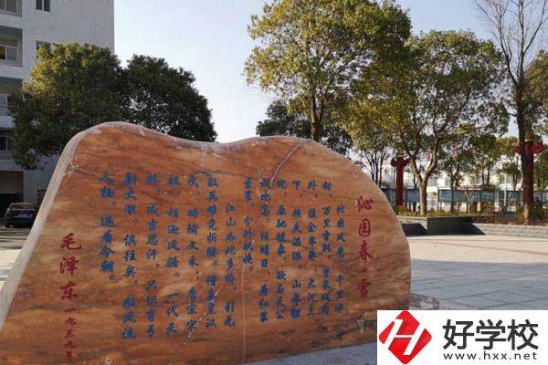 岳陽市富岳科技職業學校學校風景