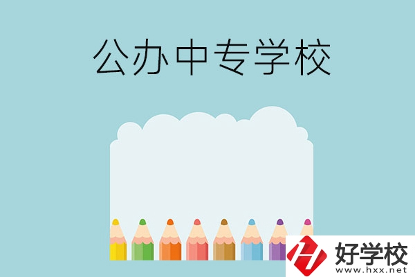 湖南地區有哪些公辦的中專學?？梢酝扑]呢？