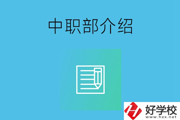 湘潭院校中職部介紹，這幾所學校你知道嗎？