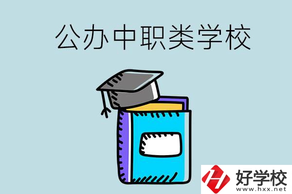 湘西的公辦中職類學校一共有多少所？
