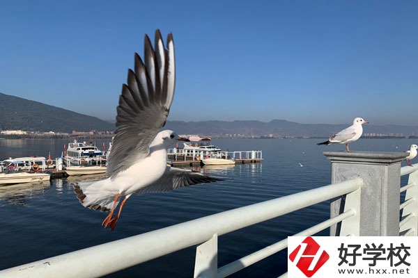 準備讀中專，衡陽縣職業中專好不好？