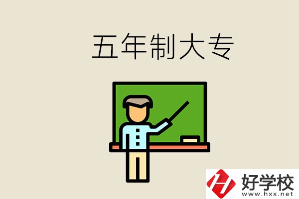 岳陽有哪些五年制大專？畢業了怎么發展？