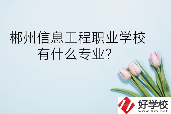 郴州信息工程職業學校有什么專業？