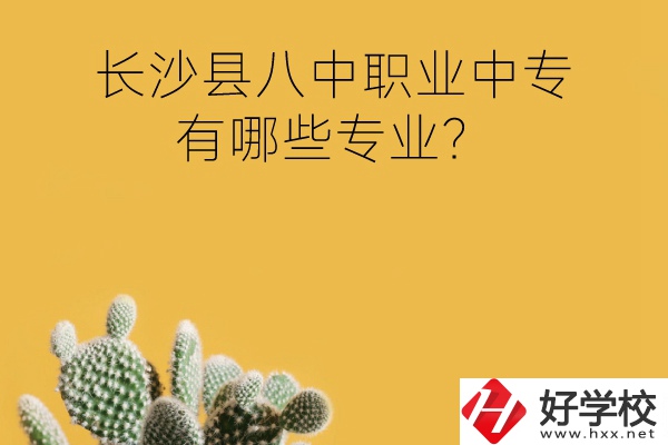 長沙縣八中職業中專好不好？有哪些專業？