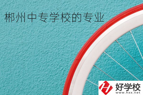 郴州中專學校有什么專業？