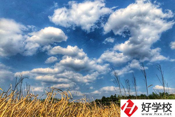 衡陽市瀟湘衛生中等專業學校有哪些特色專業？