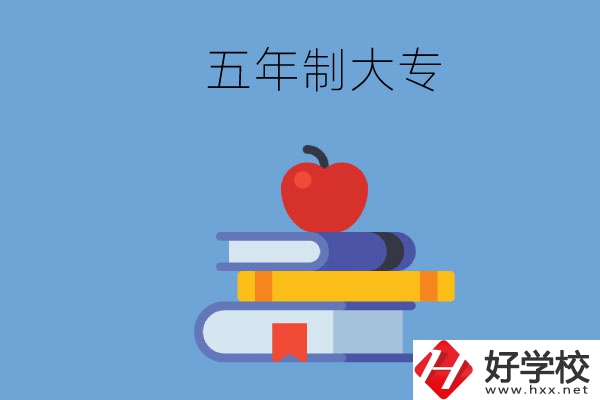 長沙開設教育類專業的五年制大專有哪些？