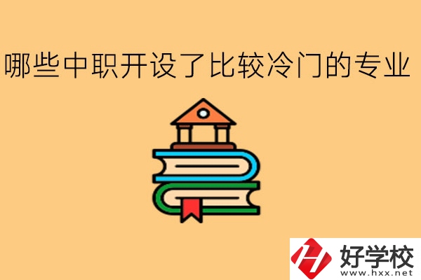 湖南有哪些中職開設了比較冷門的專業?