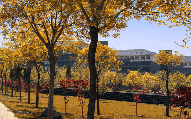 2024年北京市勁松職業高中有哪些專業