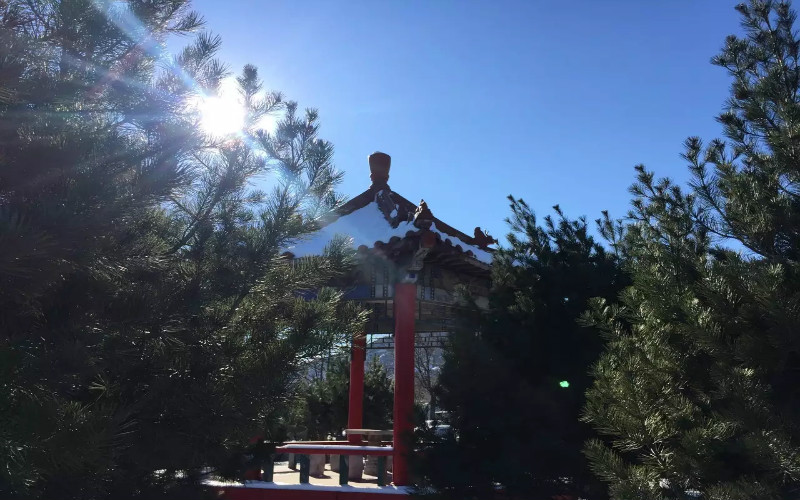 2024年云南理工職業學院有哪些專業