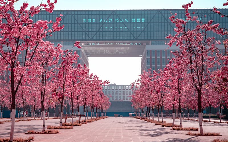 2024年三明職業中專學校有哪些專業