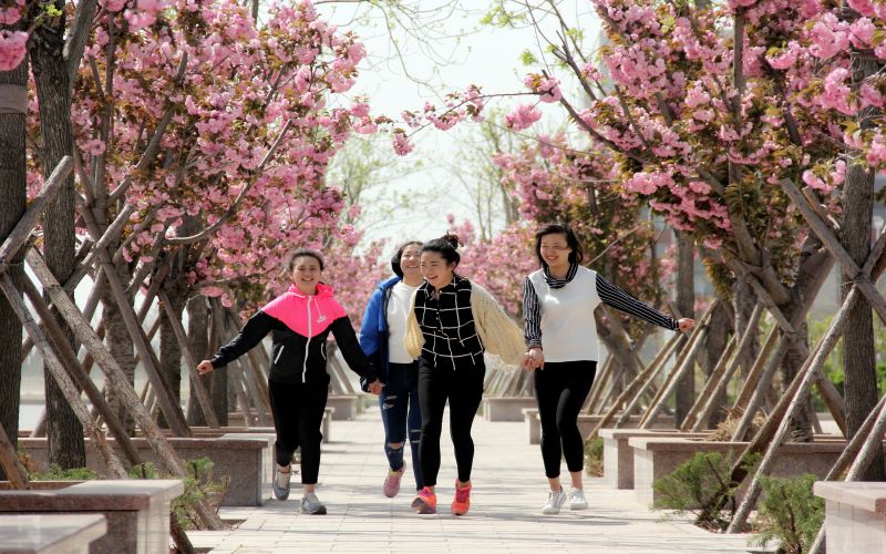 2024年獲嘉縣職業中等專業學校有哪些專業