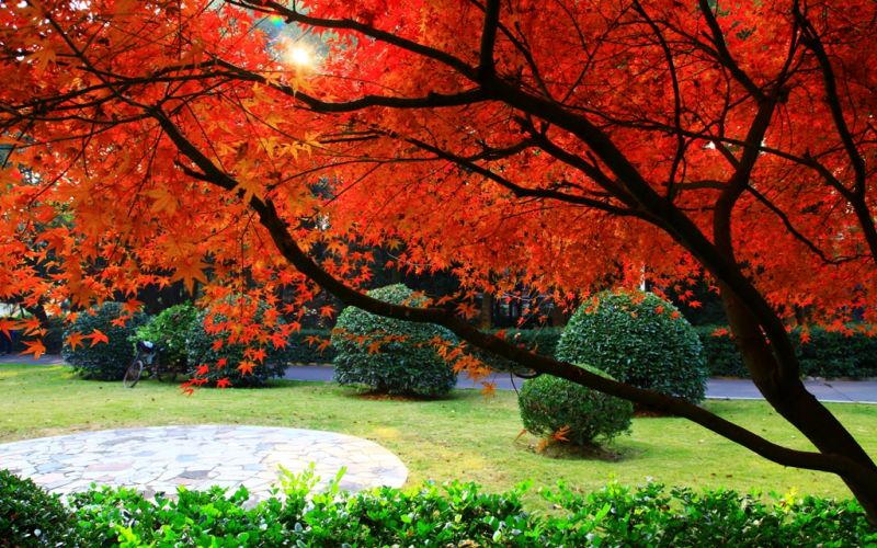 2024年煙臺工貿學校有哪些專業