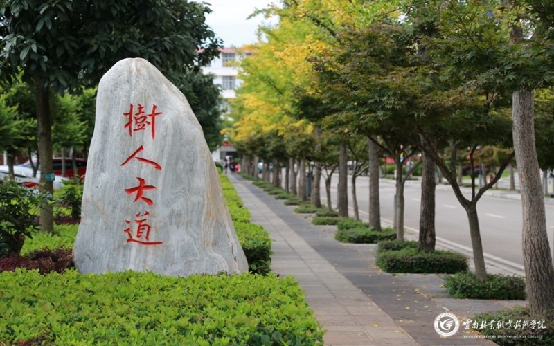 2024年湖南外國語職業學院有哪些專業