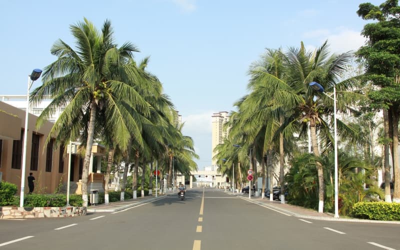 2024年東莞市中德技工學校有哪些專業