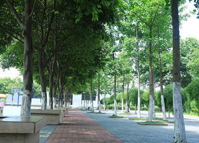 浙江烹飪(中式烹調方向)專業學校招生