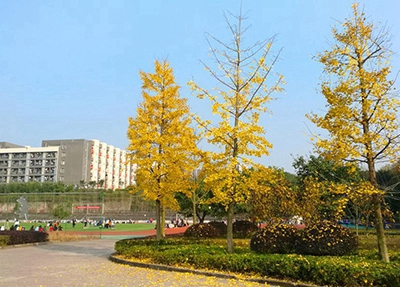 浙江景區服務與管理專業學校招生