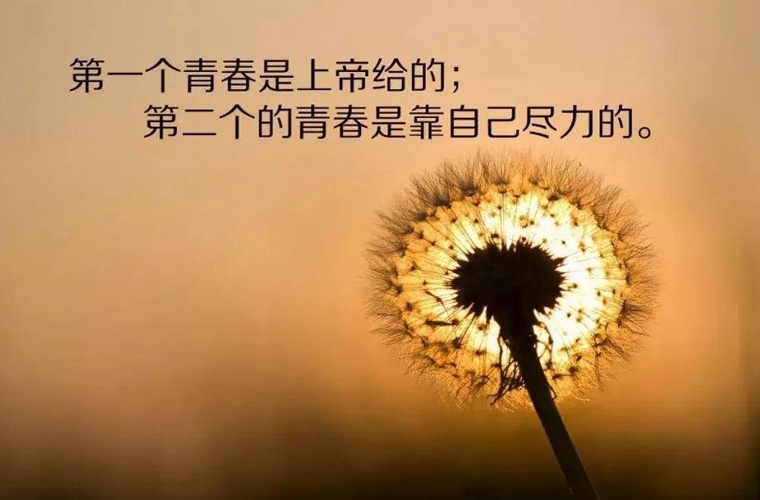 四川省實用中等專業學校2024年學費多少錢一年