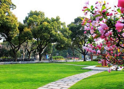 2025臨夏公辦衛生學校有哪些 臨夏公辦衛生學校名單一覽表
