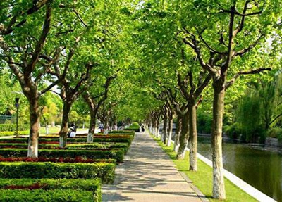 2024雅安排名靠前的公辦中職學校名單