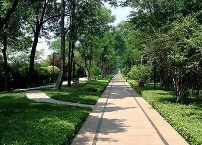 德州職業技術學院單招怎么樣(2024)