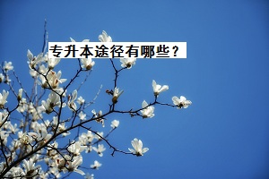 專升本途徑有哪些？