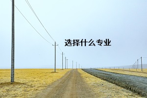 選擇什么專業