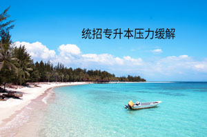 統招專升本