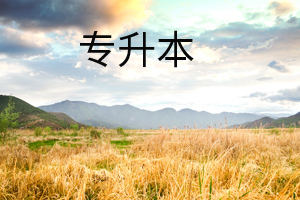 統招專升本