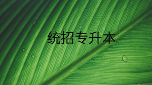 統招專升本