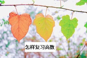 怎樣復習高數