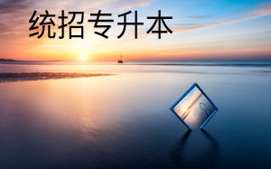 統招專升本