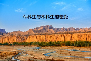?？粕c本科生的差距